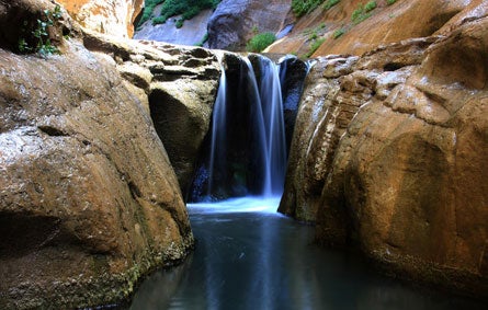 -contest-zion-narrows-waterfall 445.jpg 27848 Read Slideshow June 11 Zion National Park \