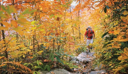 "MCBRIDE_LINVILLE-445.jpg"