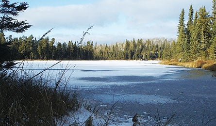 "SFay_PowWow_445.jpg"