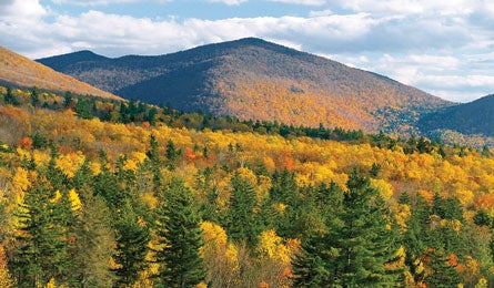 "TIM_SEAVER_LongTrailVT_445.jpg"