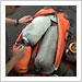 packing75x75 None