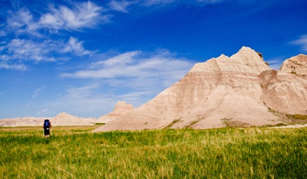 Badlands Kimphillips 445x260 29834 Sage Creek Wilderness, Badlands National Park (Kim Phillips)