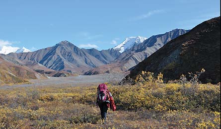 BP0611NP Denali 0035 445x260 30278 BP0611NP_denali_0035_445x260