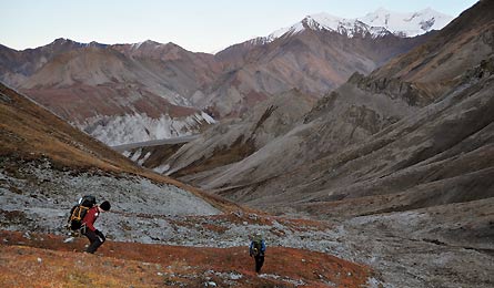 BP0611NP Denali 0104-445x260 30279 BP0611NP_denali_0104-445x260