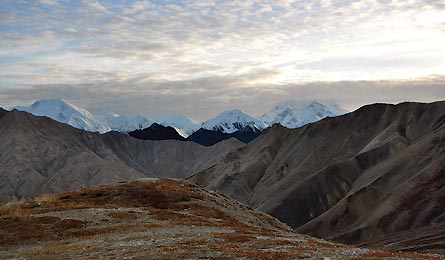 BP0611NP DENALI Contact Test Alt 445x260 30297 BP0611NP_DENALI_contact_test_alt_445x260