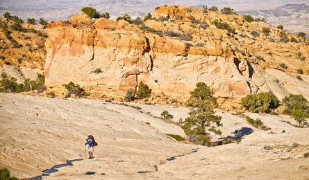 Capitolreef4-kimphillips-445x260 29779 Slickrock bowl in Capitol Reef (Kim Phillips)