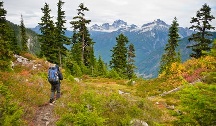 Ncascades-kimphillips-445x260 29783 Copper Ridge Trail in North Cascades (Kim Phillips)