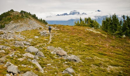 Ncascades2-kimphillips-445x260 29784 Copper Ridge Trail in North Cascades (Kim Phillips)