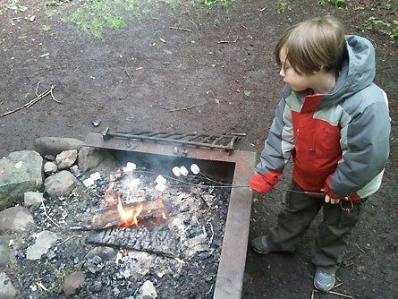 Campfire Cooking Marshmall Tree 445 30286 campfire cooking marshmall tree 445