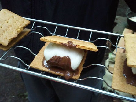 Campfire Cooking Smores 445 30284 campfire cooking smores 445