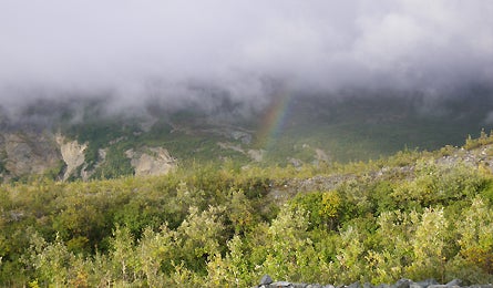 Alaska Slideshow 9 445x260 30406 alaska slideshow 9 445x260