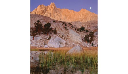 "BP0911PEAK_Callaert_LonePine_445"