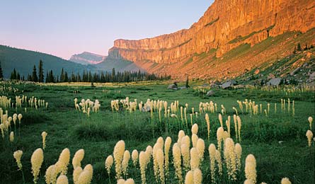 BP0811-carrclifton Bobmarshall 445x260 30733 Bob Marshall Wilderness (Photo by Carr Clifton)