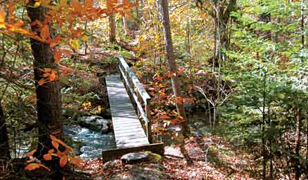 BP1011DESTRipNE Bessette LongTrail 445x260 31549 Boardwalk across an unnamed stream (Photo by Bill Bessette)