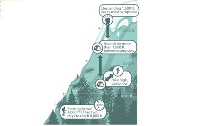 "altitude sickness illo 445x260"