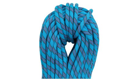 "bealtiger_445x260.jpg"