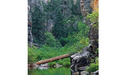BP1111DESTRipMtn Hoffman Coconino 0053-445x260 31571 BP1111DESTRipMtn_hoffman_coconino_0053-445x260