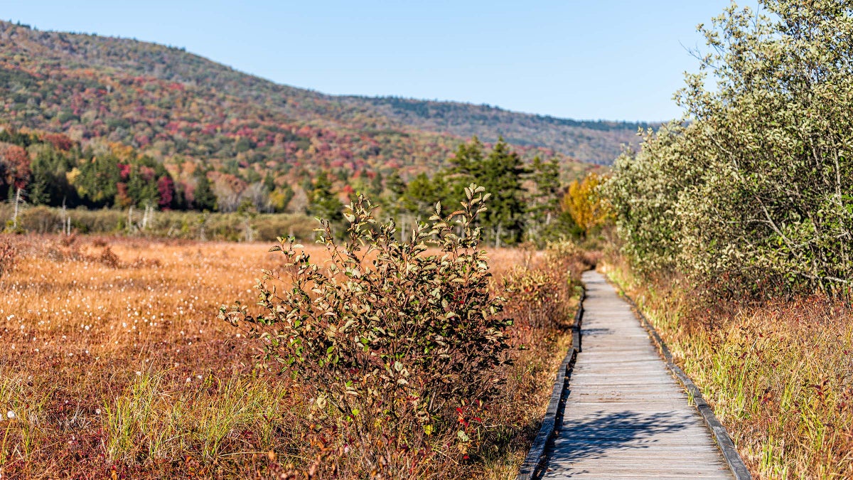 Taste the Flavor of the Season on the Cranberry Loop