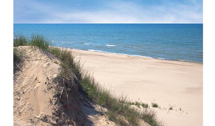 IStock Dunes 1310770S Bjk445x260.jpg 31808 iStock_dunes_1310770S_bjk445x260.jpg