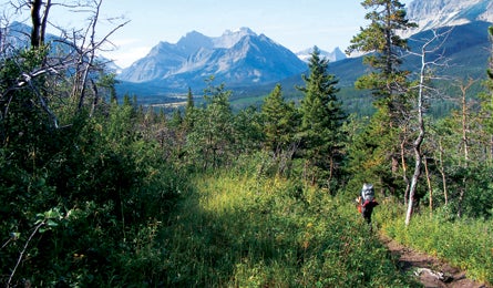 "Colleen hikes the Pacific Northwest Trail in Glacier NP (Rowan Lewis)"