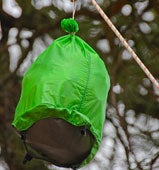 "bearhang200x170.jpg"