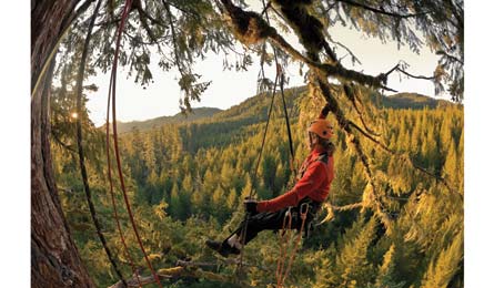 "BP1111GAME_dcollierphoto3650_445x260"