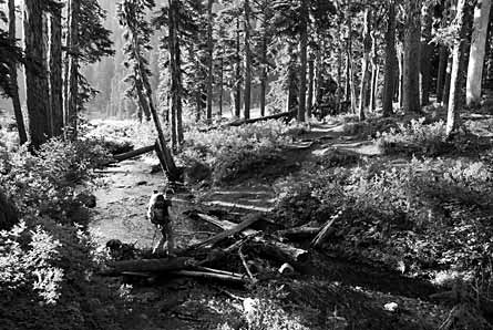 08Contest MtJeffersonStream445x298.jpg 32421 08Contest_MtJeffersonStream445x298.jpg