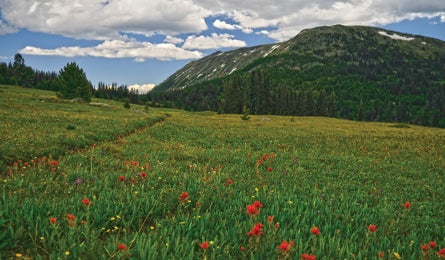 BP0312PNT PORTER HorseshoeBasin Bjk 445x260 32382 Goodenough Peak (Andy Porter)