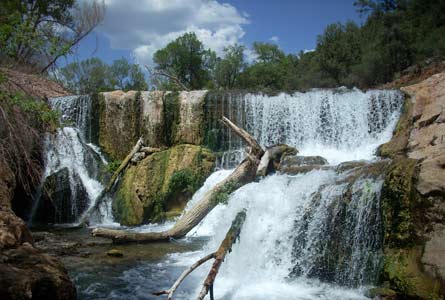 Contest 04 445x300.jpg 32439 Fossil Springs near Strawberry, Arizona for a cool refreshing swim.