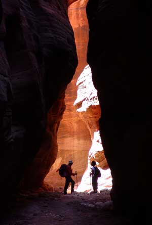 Contest-3554-1 300x445.jpg 32441 The Buckskin Gulch, a canyon in southern Utah.