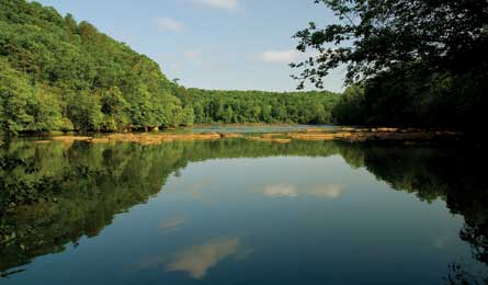 BP0612TRIPE Sanders Chatttahoochee 445x260.jpg 37469 BP0612TRIPE_Sanders_Chatttahoochee_445x260.jpg