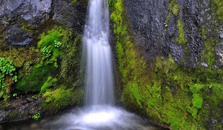 Waterfall WonderlandTr 445x260 37238 Waterfall_WonderlandTr_445x260