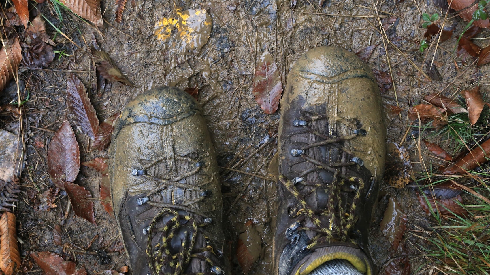 clean dirty hiking boots on the nature trail