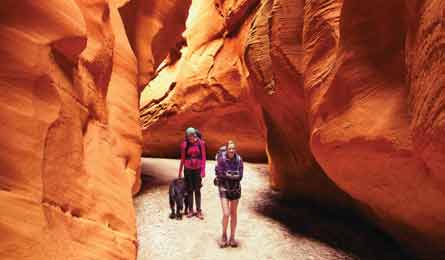 "BP0812TRIP_Dorn_Buckskin_445x260.jpg"