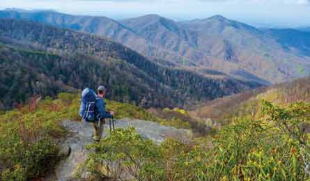 "BP0812TRIPE_Rives_445x260.jpg"