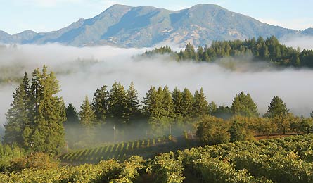 "Sept12_TOP3_HellerFamilyMtStHelena_445x260"