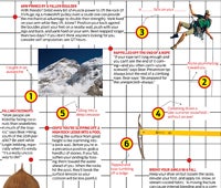 "survival issue gravity 200x170"