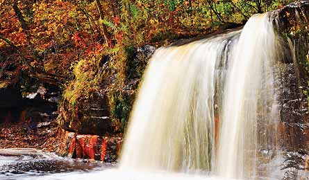 "NOV12TRIPC_TM_Mamer_WolfCreek_445X260"