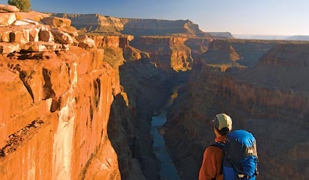 "JAN13GRAND_Diener_Opener_445x260"