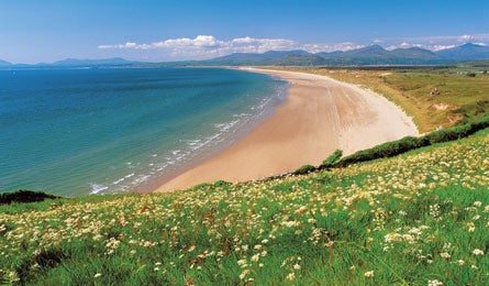 BP0113WALES Crown Beach M91-765-SP-A5H Bjk 445x260 76791 BP0113WALES_Crown_Beach_M91-765-SP-A5H_bjk_445x260