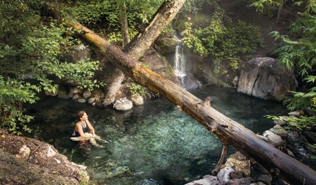 "BP0313TRIPW_Steinberger_HotSpings_445x260.jpg"