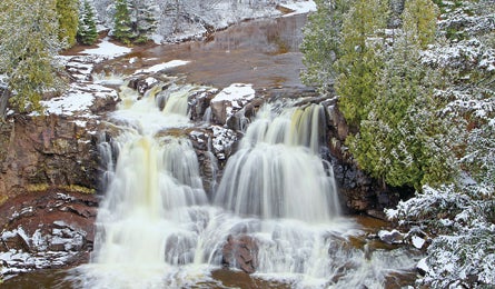 "BP0313TRIPC_FF_Sundberg_Gooseberry_bjk_445x260.jpg"