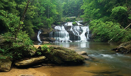 "BP0313TRIPE_TM_Donohue_PantherFalls_bjk_445x260.jpg"