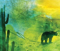 "truth about bears maps 200x170"