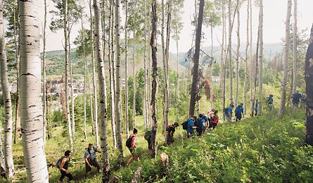 "lovehopestrength_445x260"