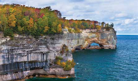 "BP0513FNO_Clay_23PR-128_445x260.jpg"