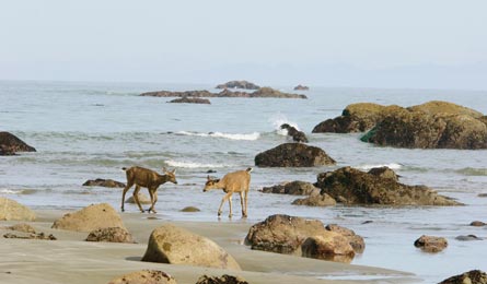 "BP0513FNO_Leeson__TPL2783_445x260.jpg"