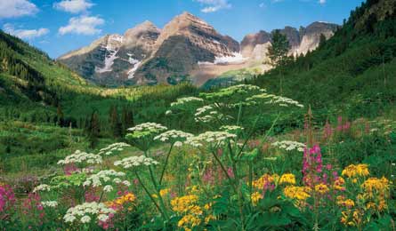 BP0513FNO Randall MaroonBells 445x260.jpg 79819 BP0513FNO_Randall_MaroonBells_445x260.jpg