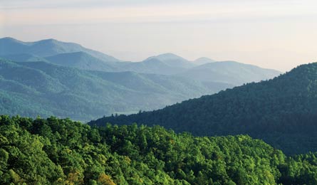 "BP0513TRIPE_FF_Parent_BlackRock_445x260.jpg"