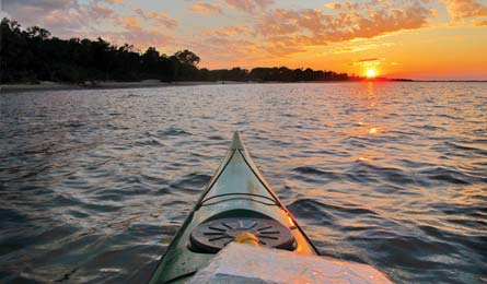 "BP0513TRIPE_RIP_Callahan_Shackleford_445x260.jpg"